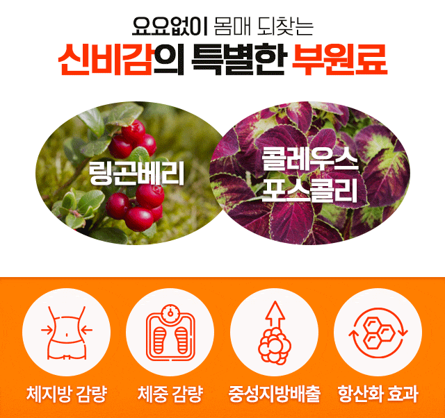건강한 삶을 위해